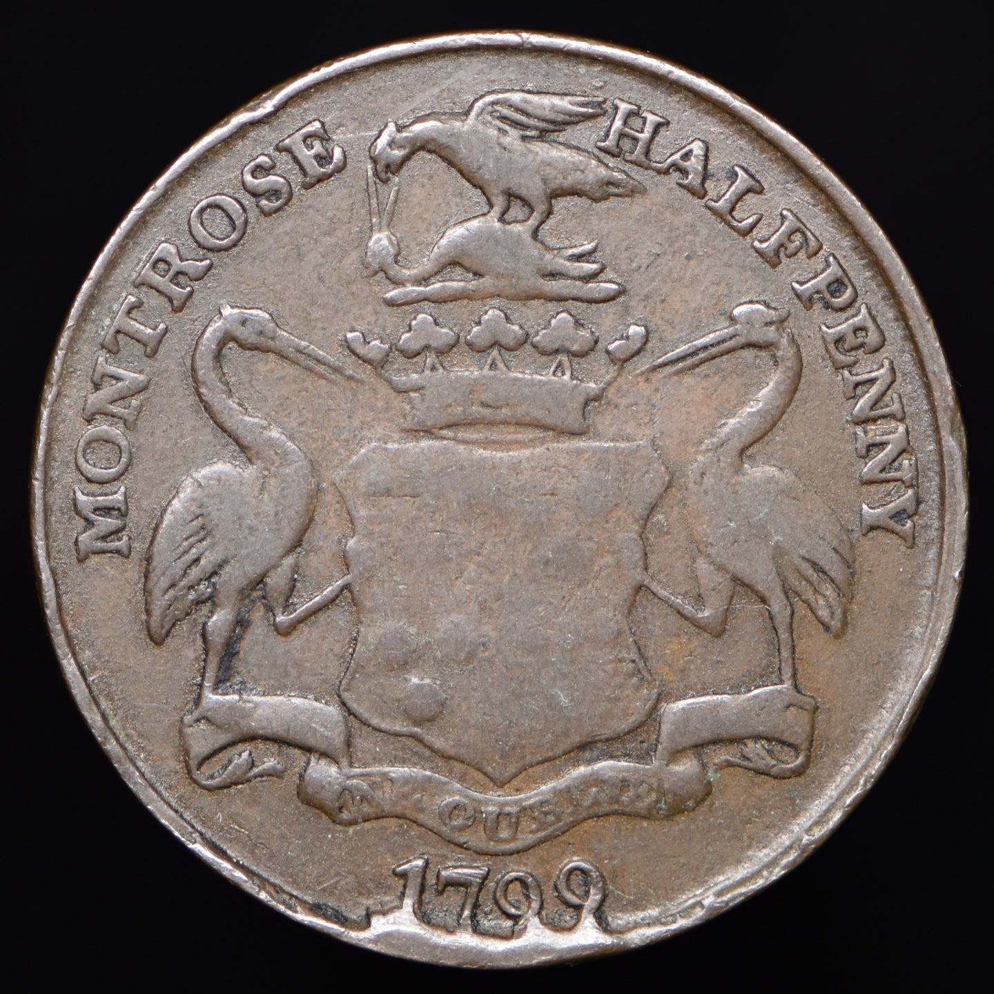 Angusshire D&H 34 Montrose