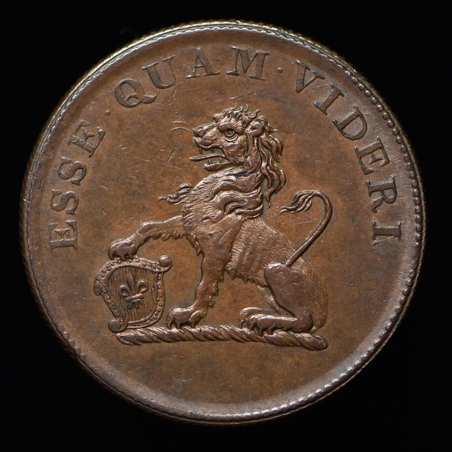 Hull, (W. 785) Lead Works, I K Picard