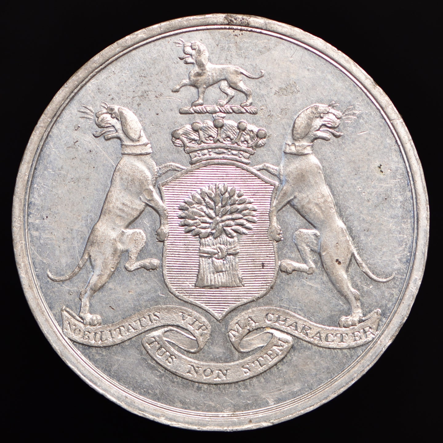 Westminster, Grosvenor Gardens W. 1316